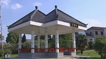 《有巢故里·山水畫廊》壩鎮紀實專題片本周五登陸瑞軒畫廊